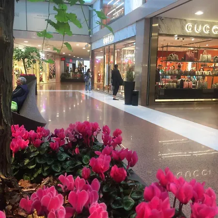 B&B Galleria Cavour-2